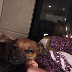 Meet your Posher, Maddie